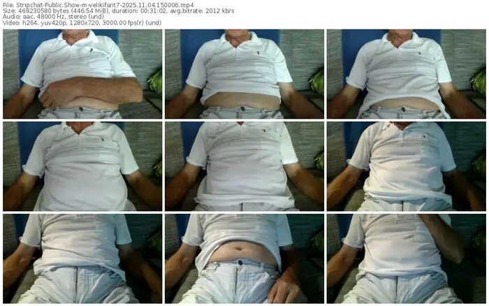 2025/11/04/stripchat-velikifant7-15-00-06