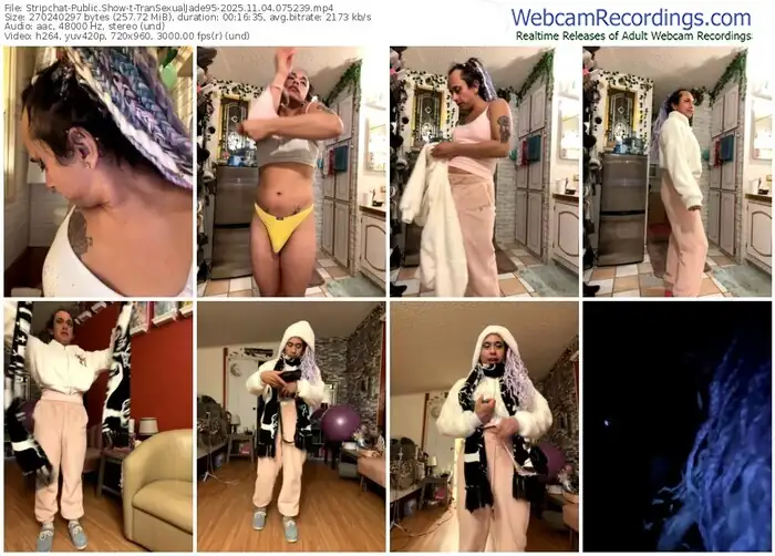 2025/11/04/stripchat-transexualjade95-07-52-39