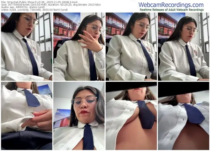 2025/11/05/stripchat-liz-06_-18-08-13