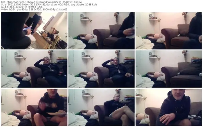 2025/11/05/stripchat-silverandfox-09-50-18