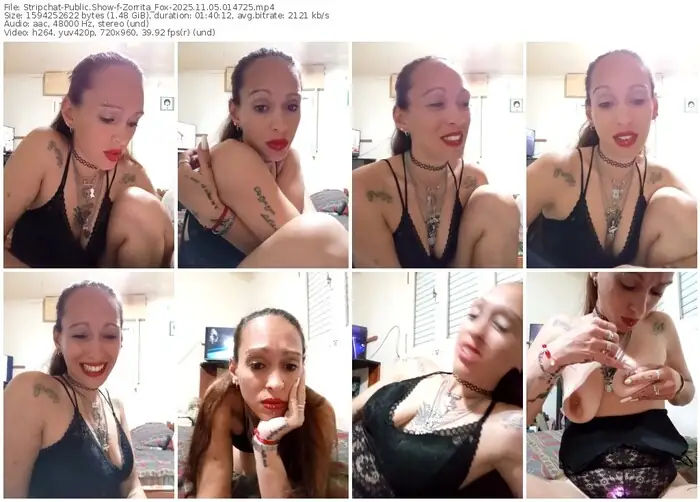2025/11/05/stripchat-zorrita_fox-01-47-25