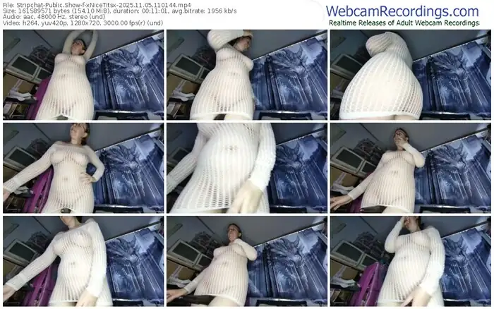 2025/11/05/stripchat-xnicetitsx-11-01-44