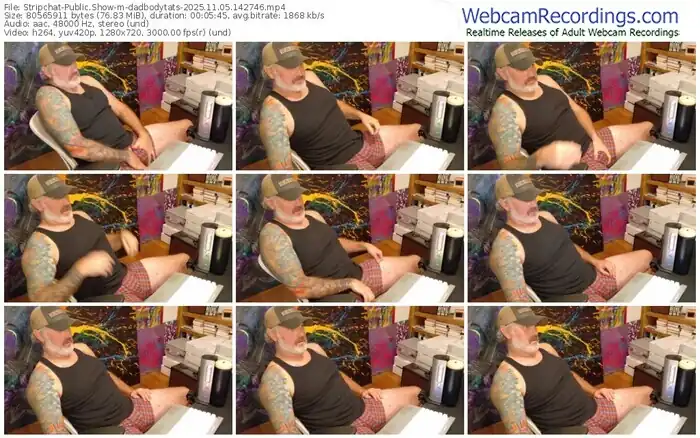 2025/11/05/stripchat-dadbodytats-14-27-46