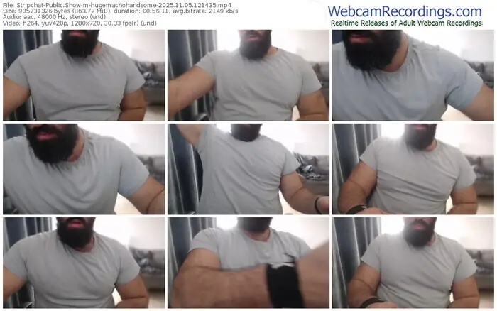2025/11/05/stripchat-hugemachohandsome-12-14-35