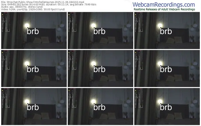 2025/11/06/stripchat-michellehaynes-18-41-02