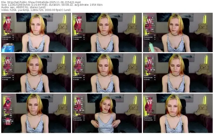 2025/11/06/stripchat-mitaside-21-54-22
