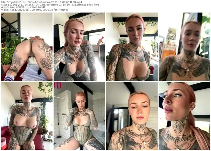 2025/11/06/stripchat-stella-kink-08-41-08