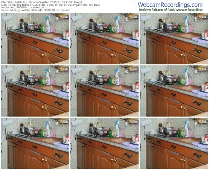 2025/11/06/stripchat-venered-11-31-18