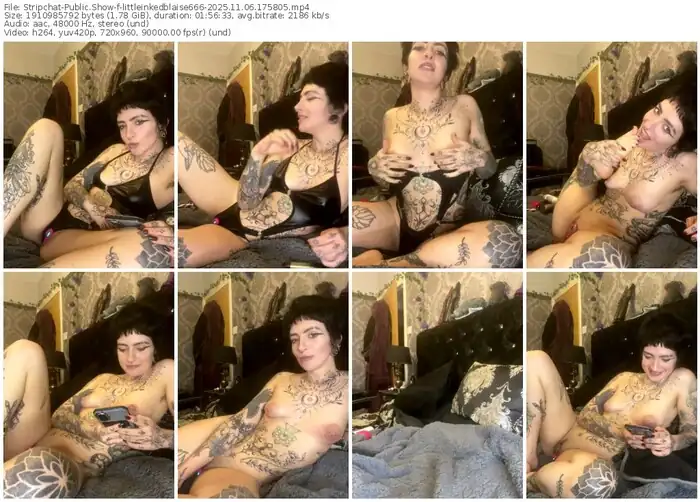 2025/11/06/stripchat-littleinkedblaise666-17-58-05