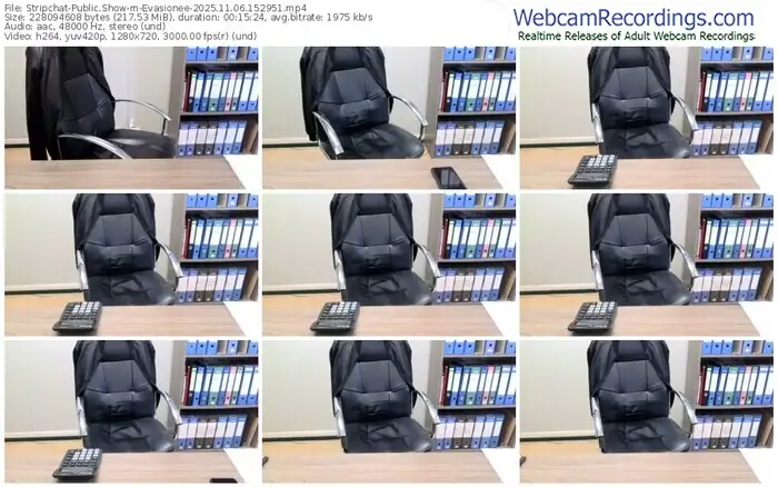 2025/11/06/stripchat-evasionee-15-29-51