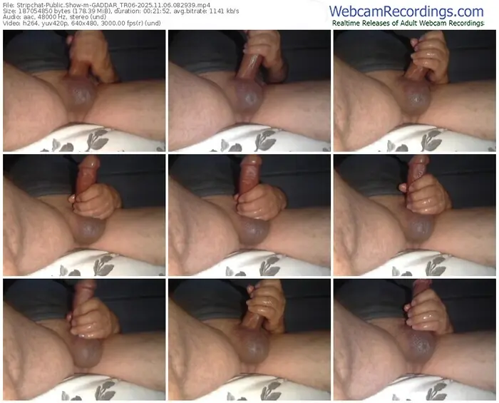 2025/11/06/stripchat-gaddar_tr06-08-29-39