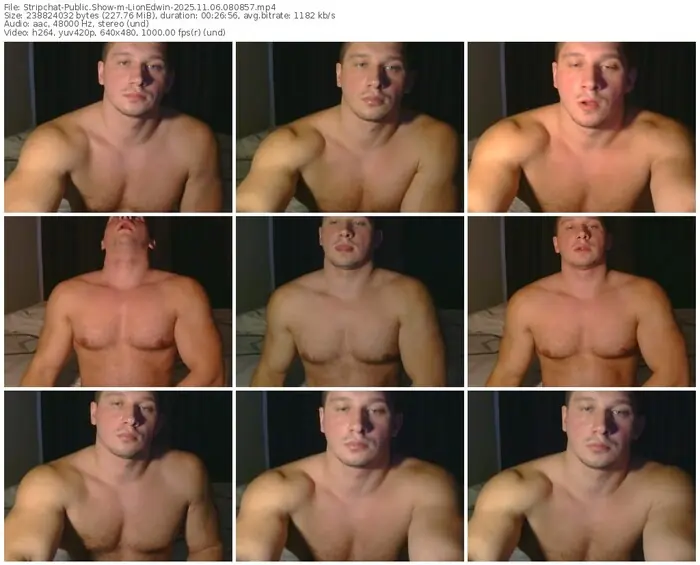 2025/11/06/stripchat-lionedwin-08-08-57