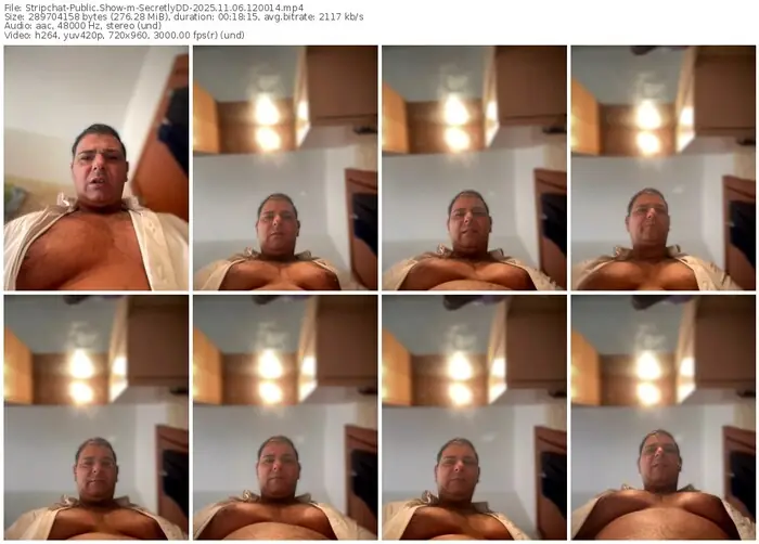 2025/11/06/stripchat-secretlydd-12-00-14