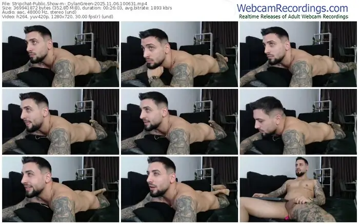 2025/11/06/stripchat-_dylangreen-10-06-31