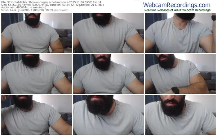 2025/11/06/stripchat-hugemachohandsome-09-36-18