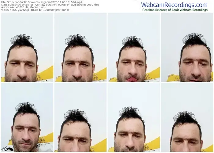 2025/11/06/stripchat-vasgabri-18-15-24