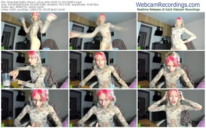 2025/11/06/stripchat-_alice_kitty-15-38-51