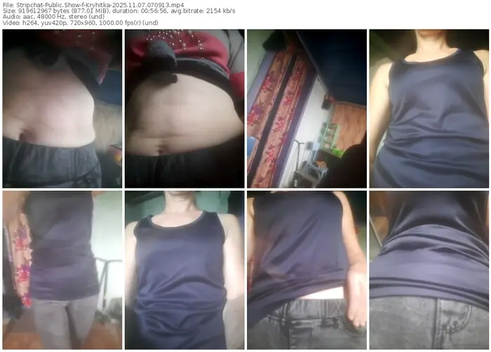 2025/11/07/stripchat-kryhitka-07-09-13