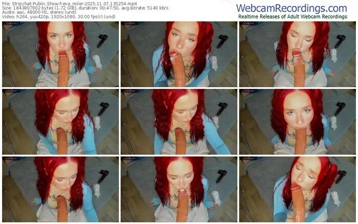 2025/11/07/stripchat-eva_miler-13-52-54