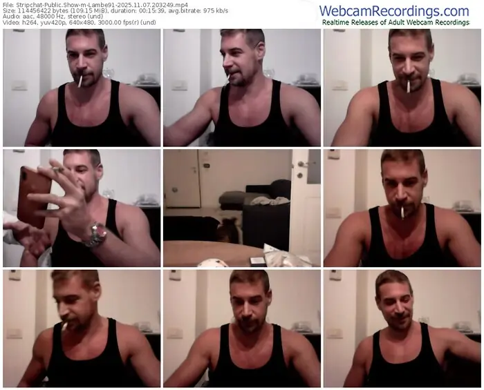 2025/11/07/stripchat-lambe91-20-32-49