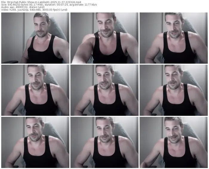 2025/11/07/stripchat-lambe91-22-33-24