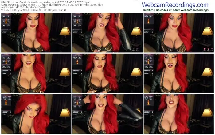 2025/11/07/stripchat-the_seductress-18-52-53