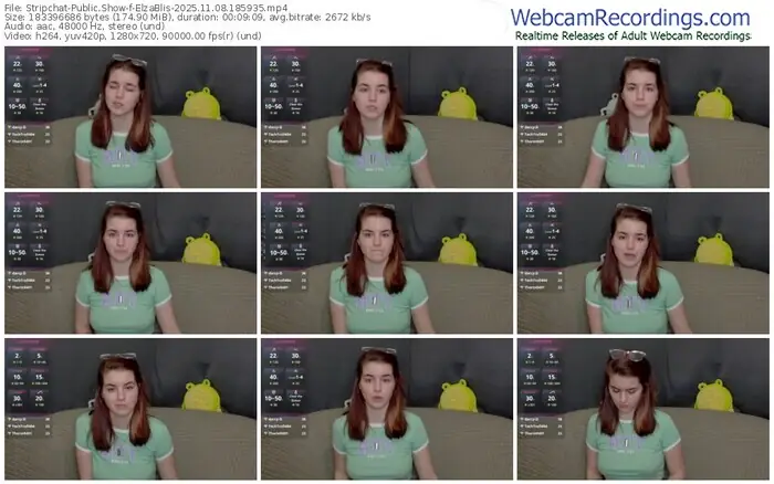 2025/11/08/stripchat-elzablis-18-59-35
