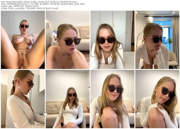 2025/11/08/stripchat-little_forest_elf-08-37-00