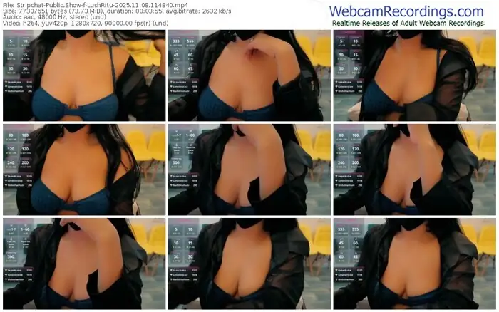 2025/11/08/stripchat-lushritu-11-48-40
