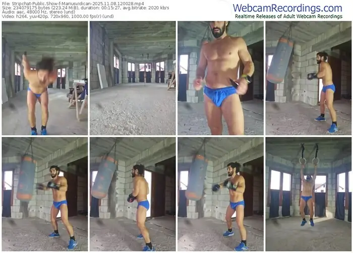 2025/11/08/stripchat-mariusvidican-12-00-28