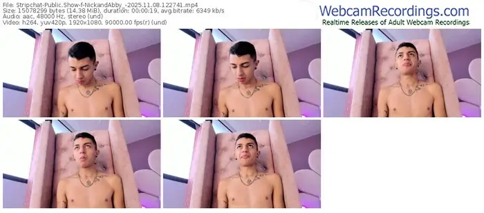 2025/11/08/stripchat-nickandabby_-12-27-41