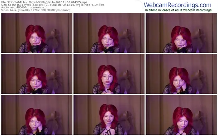 2025/11/08/stripchat-stella_vanila-04-43-55