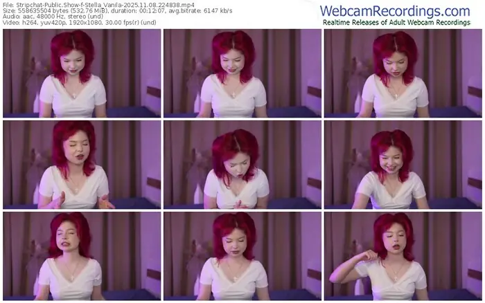 2025/11/08/stripchat-stella_vanila-22-48-38