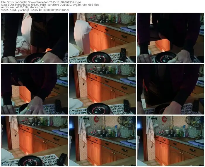 2025/11/08/stripchat-venered-06-13-52