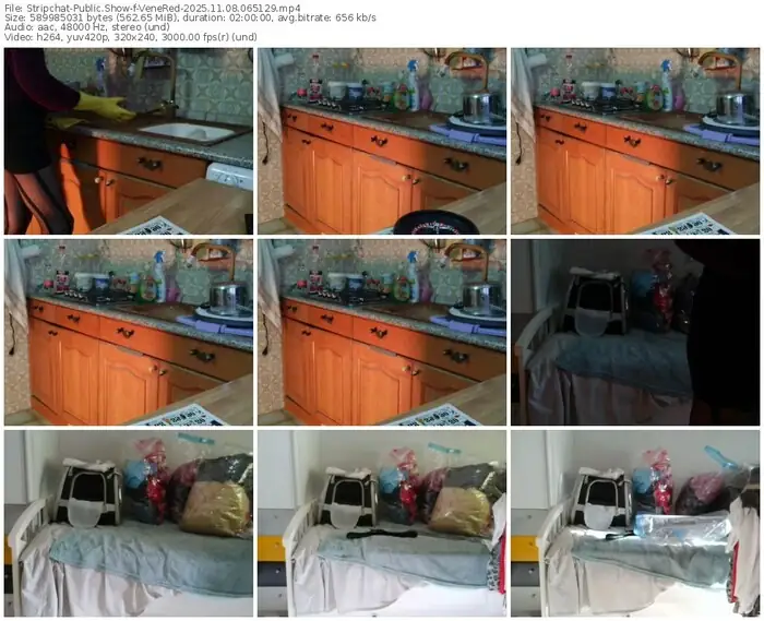 2025/11/08/stripchat-venered-06-51-29