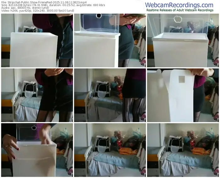 2025/11/08/stripchat-venered-11-38-23