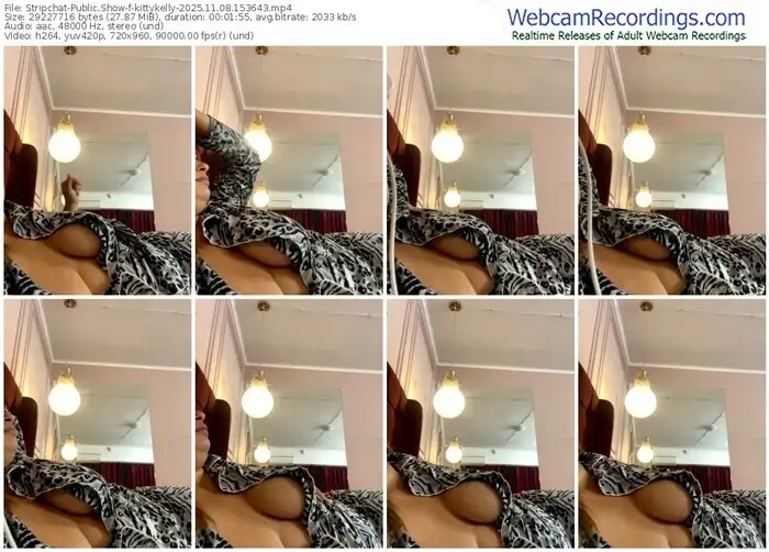 2025/11/08/stripchat-kittykelly-15-36-43