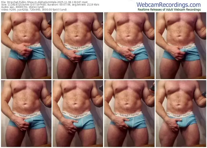 2025/11/08/stripchat-alphagymmale-13-10-47