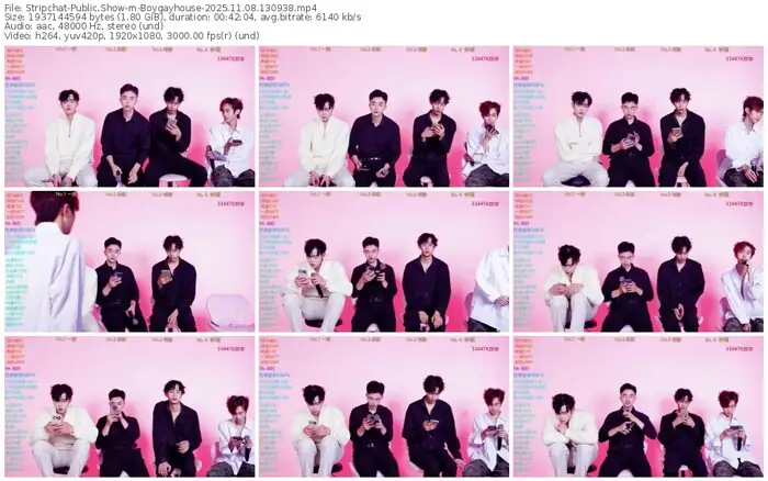 2025/11/08/stripchat-boygayhouse-13-09-38