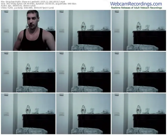 2025/11/08/stripchat-lambe91-16-53-17