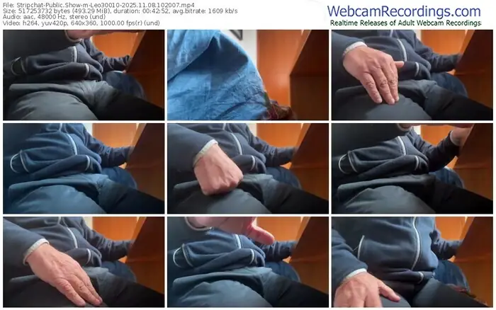 2025/11/08/stripchat-leo30010-10-20-07