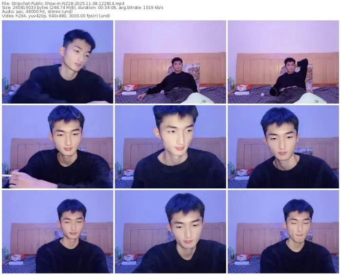 2025/11/08/stripchat-n228-12-28-14