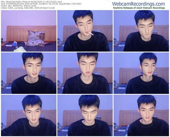 2025/11/08/stripchat-n228-15-32-21