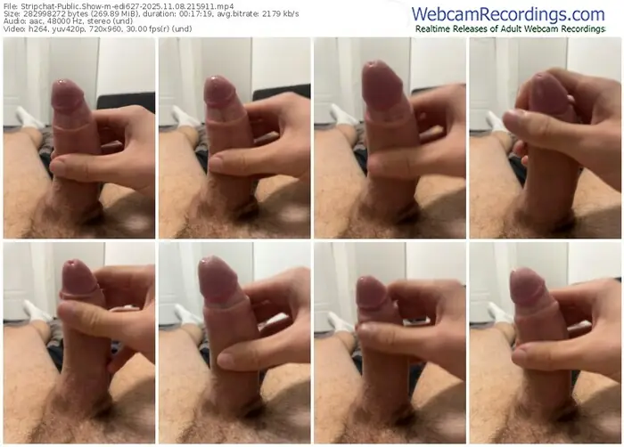 2025/11/08/stripchat-edi627-21-59-11