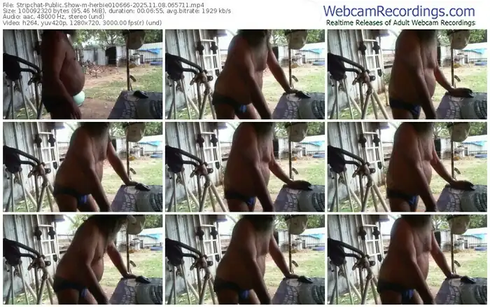 2025/11/08/stripchat-herbie010666-06-57-11