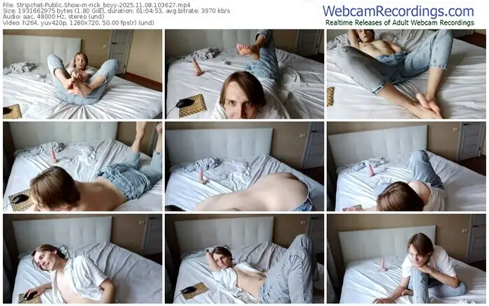 2025/11/08/stripchat-rick_boyy-10-36-27
