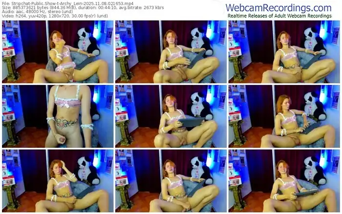 2025/11/08/stripchat-archy_lein-02-16-53