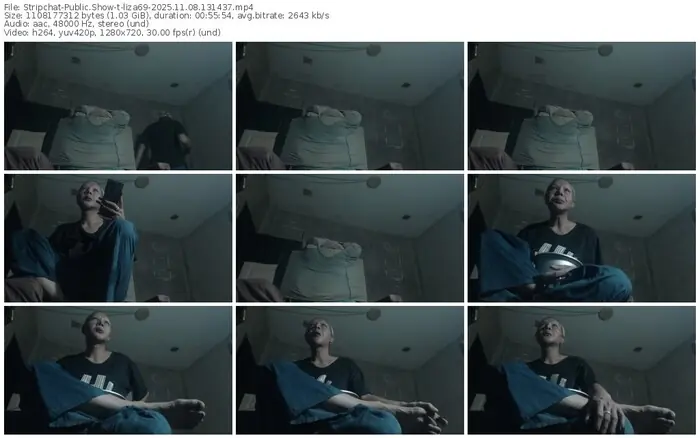 2025/11/08/stripchat-liza69-13-14-37