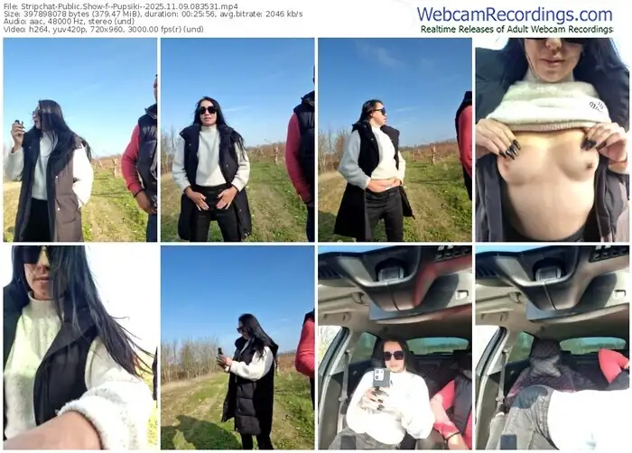 2025/11/09/stripchat--pupsiki--08-35-31