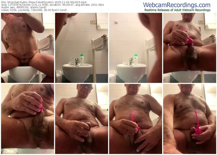 2025/11/09/stripchat-4n4l1zz4m1-00-16-23